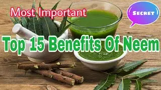 Most important top 15 benefits of neem leaf