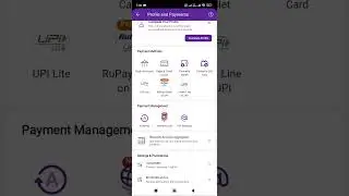 How to Remove the auto-pay option of a Netflix account from phone pay. remove auto pay video