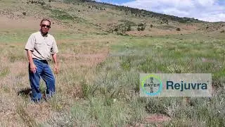 Operational Experience with Rejuvra for Rangeland Restoration