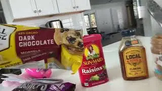 Healthy Energy Balls Recipe Non Bake Yummy Treat with Renee Smith