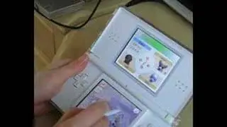 Nintendogs Labrador and Friends Nintendo DS Lite