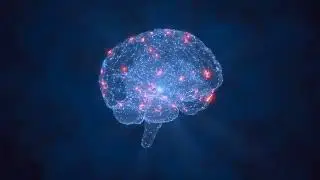 7 Facts About the Human Body That Sound Fake