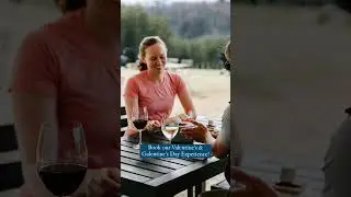 POV: You're celebrating Valentines Day at Serre Vineyards with the love of your life! 😍🤗