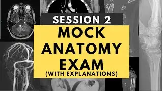 Radiology anatomy practice test: Session 2 (with answers and explanations) - FRCR Part 1/ ABR Core