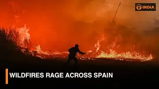 Spain Battles Worst Wildfires in Decades | Climate Emergency Update | DD India