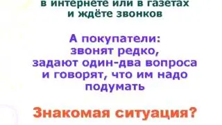 Продажа щенков по телефону