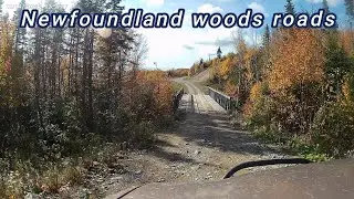 off roading on Newfoundlands woods roads #offroad #4x4