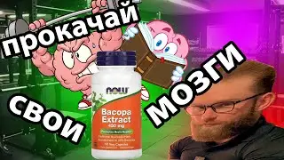 Bacopa extract Быстрый обзор