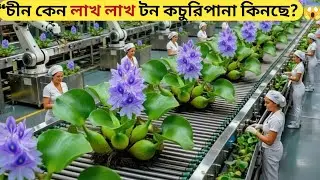 নদীর আগাছা থেকে কোটি টাকার পণ্য!😱 China Mega Factory Process. 