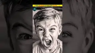 सूतने से पहले जानने वाले Facts😴😲 | Interesting Facts