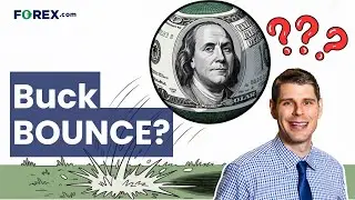 US Dollar Poised for a Technical Bounce as Yields Rise | Daily Market Update, December 2 2025