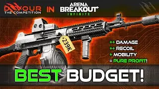 BEST BUDGET FORBIDDEN LOADOUT | Arena Breakout Infinite