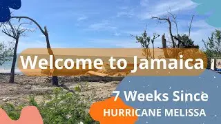 Visiting Jamaica 7 weeks after Hurricane Melissa? Day 1 @travelismyforte 
