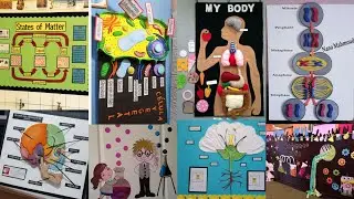 How to decor science lab | Science lab decoration ideas | Science Wall ideas