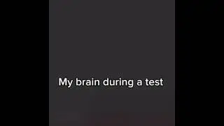 Literally my brain 💀💀💀
