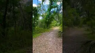 Let&rsquo;s do a evening Hike here in Florida AFT 2024 🔥🆙 #florida #trevdevadventures #hiking