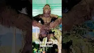 Wild animals exhibition #animals #wildlife #wildanimals #exhibition #kids #bangalore #shorts #viral