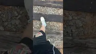 #fyp #shorts #viral #memes #traintracks