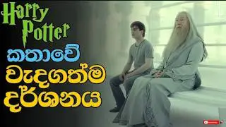 Harry මැරුණට පස්සේ මොකද උනේ | Hidden Meaning of King's Cross Scene