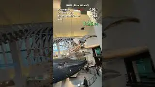 Скоростное прохождение Музея естественной истории. День 7 #speedrun #gaming
