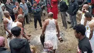 खप्तडी बस्नेत कुलपुजा 2077- - धुस्कुन सिन्धुपाल्चोक