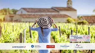 D&eacute;fi blogueurs #Francedanslesvignes &ndash; Bloggers Challenge #FranceIntotheVineyard