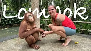 Lombok Wildlife park | Indon&eacute;sie 🇮🇩