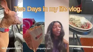 Vlog: TWO days in my life ♡, Vet appointment,car crash,chipotle,eat w/me + Voting for the president