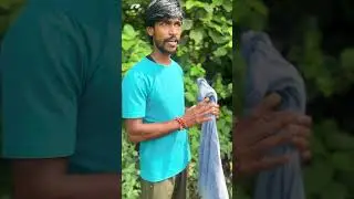 Cobra released in forest 🌳#shots #shortsvideo #trendingshorts
