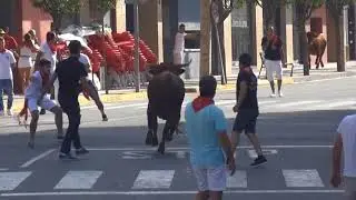 ENCIERRO POR EL BARRANCO EN RIBAFORADA (NAVARRA) 25 -08- 2017.