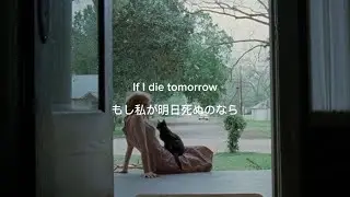[Lyrics] Chloe Adams - If I Die Tomorrow | pop/japanese sub