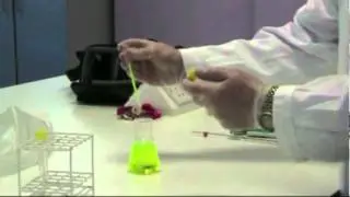 Biomedical science resources: Different Types of Pipette