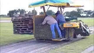 Tifway Bermuda Harvesting - The Grass Outlet