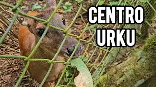 CENTRO URKU, un espacio de recuperación y educación ambiental en Tarapoto