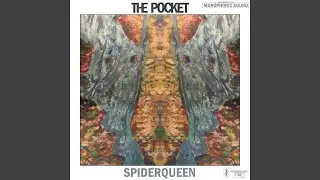 A Pocket for Julian Koster