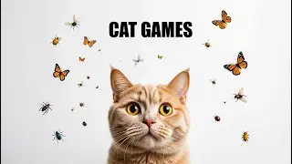 Cat Games  Best Mouse & Bug Chase Compilation Vol 05  4K, 60 fps 🐭