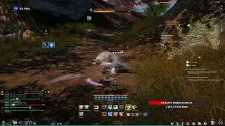 Играю в Blade & Soul /ver stream
