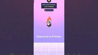 Catching my first Pikipek Pokemon GO #pokemon #pokemongo #pokemoncommunity #pok&eacute;mon #pok&eacute;mongo #fyp