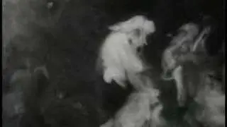 Modest Mouse - Steam Engenius