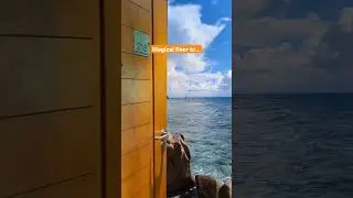 Home to most beautiful beaches of world, Seychelles has world's unique treasures! #shorts #travel