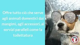 Zooplanet: l&rsquo;azienda specialista del Pet che approda all&rsquo;online