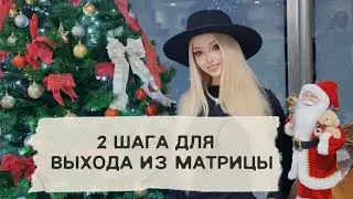 2 ШАГА ДЛЯ ВЫХОДА ИЗ МАТРИЦЫ, кратко о главном ! Микробиом и менталка 