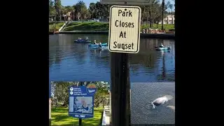 Craig Park Tarpon Springs Florida Scenic Aerial View of park and manatees
