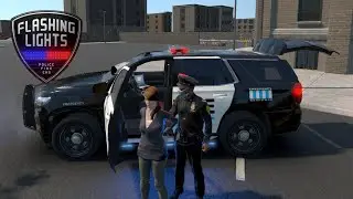 POLICE, HAUT LES MAINS! - (Flashing lights)
