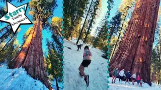 Starry Family Adventures | Sequoia NP | Trip 14:  Activity 13: California