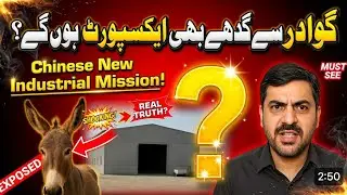 Chinese Firm to Set Up Donkey Meat Export Factory in Gwadar | Surprising CPEC Investment 2025