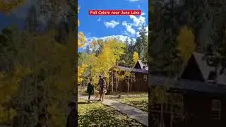Amazing Fall Colors near June Lake, California #music #lake #californialake #amazing #fallcolors