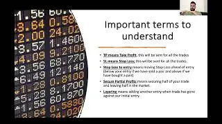 Introduction video, why you should do FOREX?