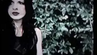 Vestal Campaign 2010 :::