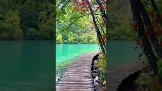 Plitvice Series Ep. 3 - Silent Lakes & Wooden Trails 🦆 | Croatia&rsquo;s Hidden Calm